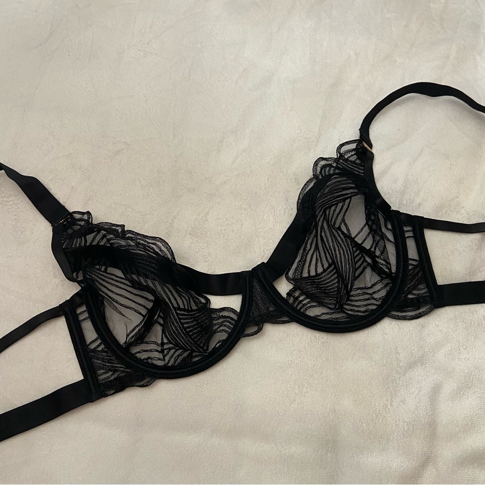 Bluebella Black Sheer Embroidered Underwire Bra
